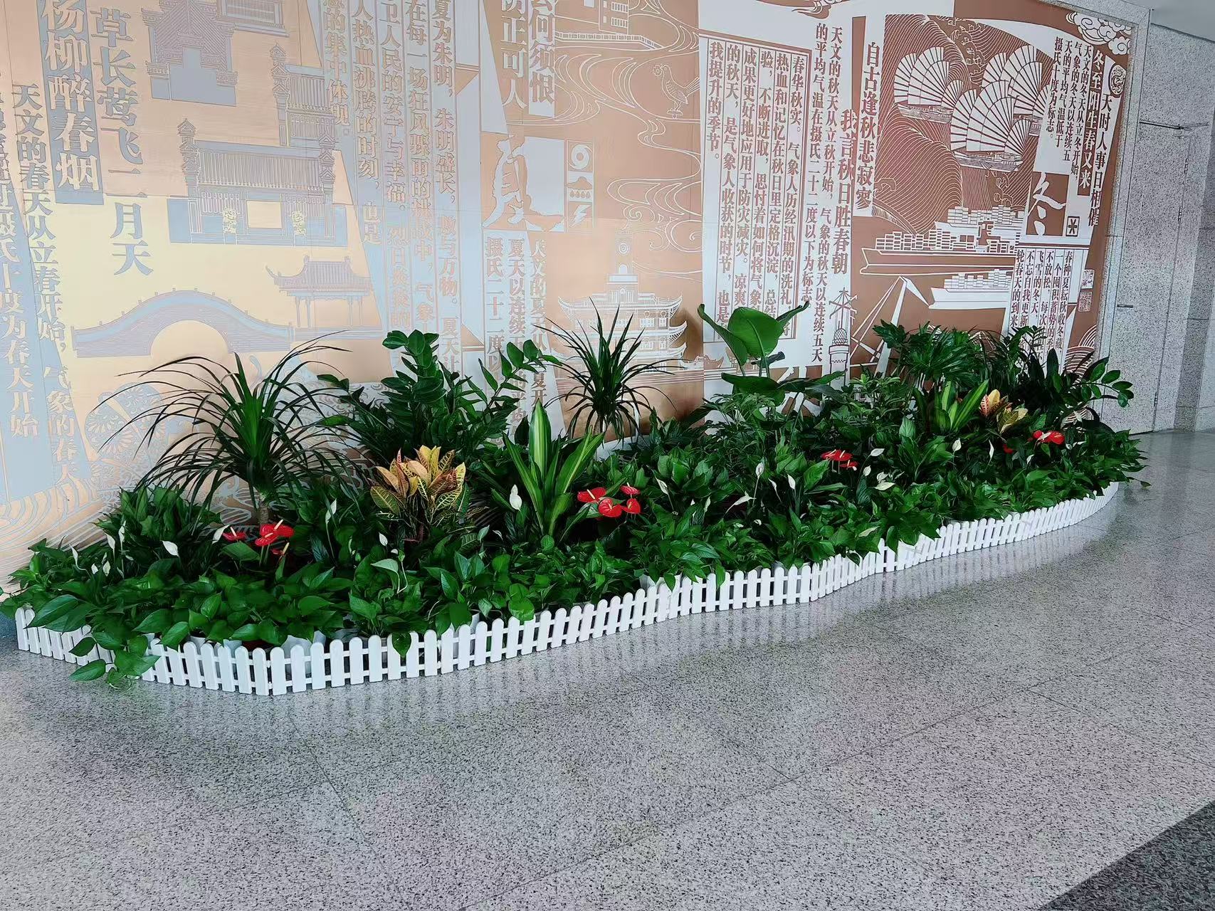 “探索鄞州盆景租赁价格，解锁绿植新体验验